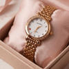 Serene Golden and White Classic Watch SOU515 - MAWKLUXORA