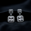 Cubic zirconia Earrings ¥-0028 (Silver-Transperant)