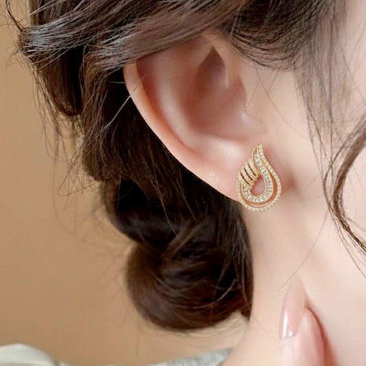 Angel Wing Zircon Earrings ¥-0008 (Silver)